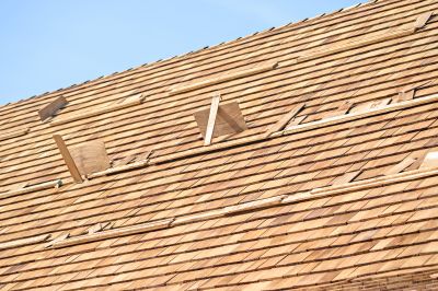Roof Repair & Maintenance
